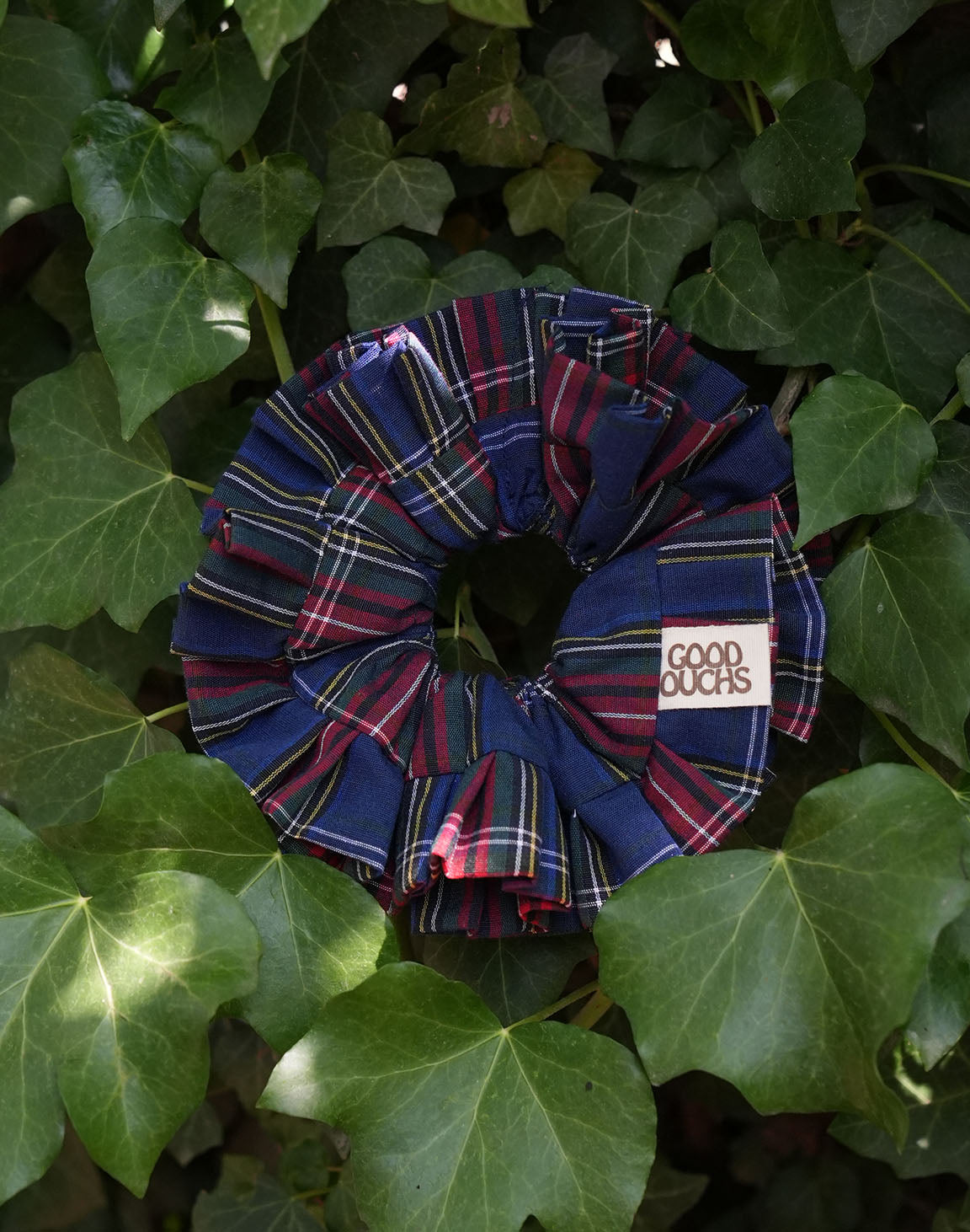 SCOTTISH BREEZE